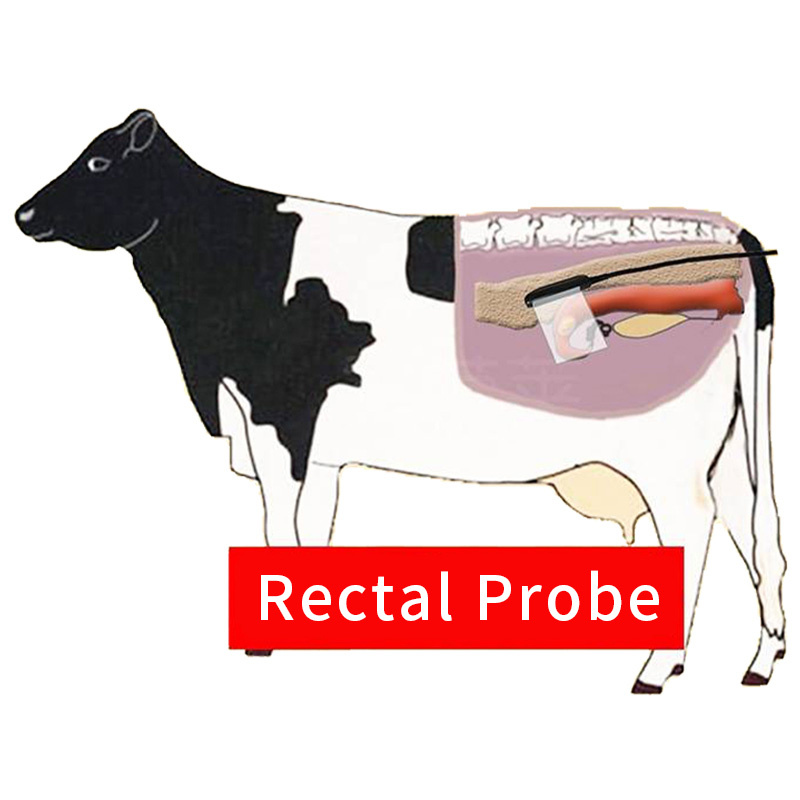 ECI-X5S Veterinary Ultrasound Scanner-detail 7