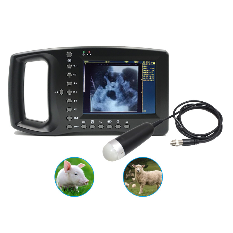 ECI-1800 Veterinary Ultrasound Scanner-detail 3 animals