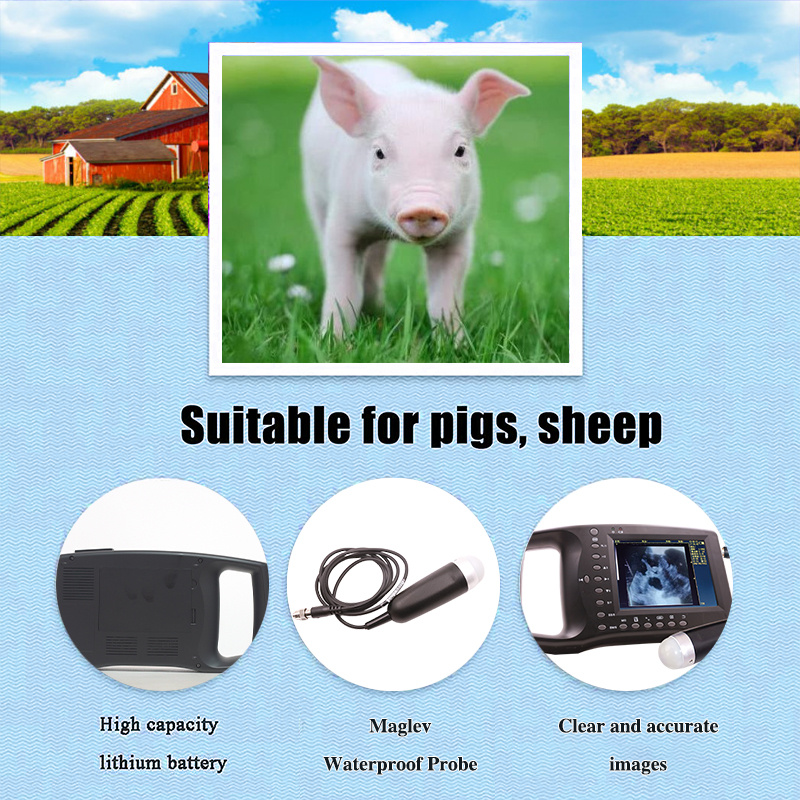 ECI-1800 Veterinary Ultrasound Scanner-detail 6