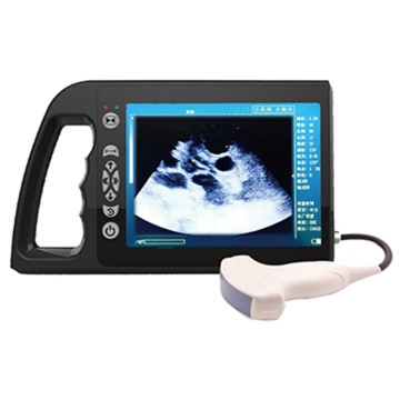 ECI-3000A+ واٽر پروف ويٽرنري الٽراسائونڊ اسڪينر 8 انچ HD اسڪرين سان