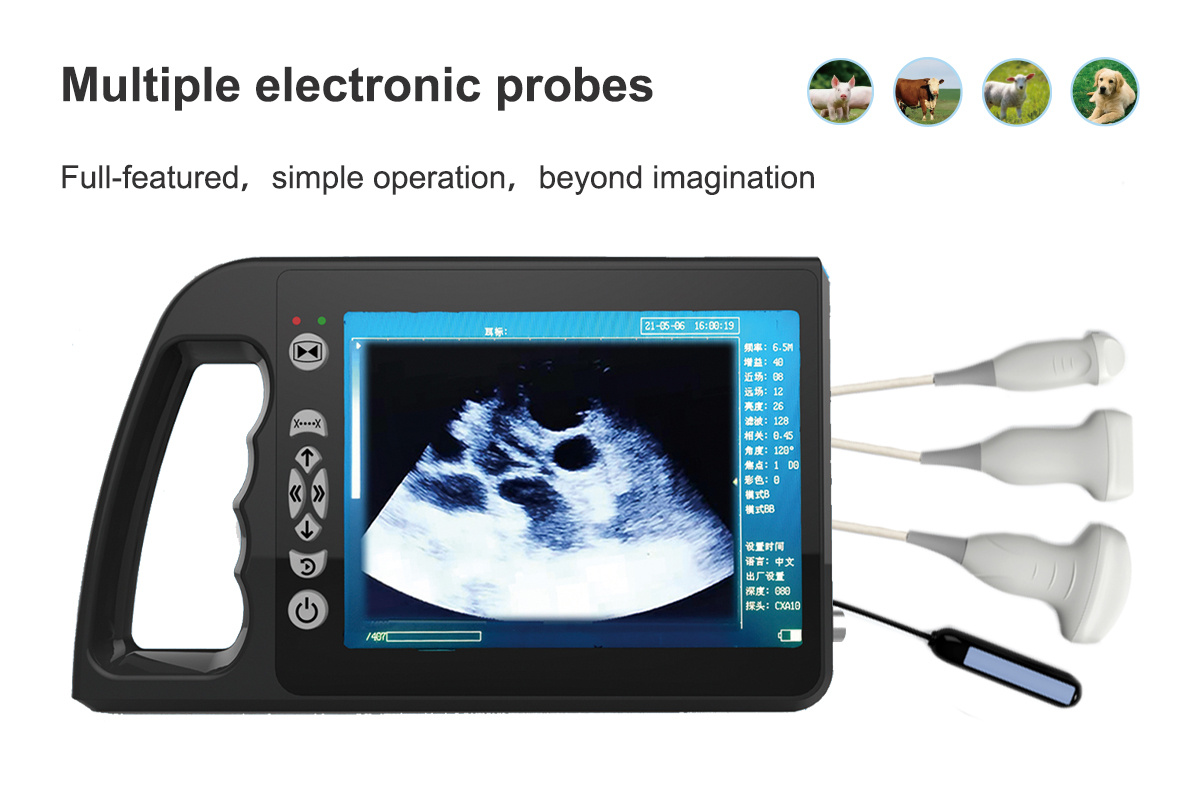 ECI-3000A+ Veterinary Ultrasound Scanner-detail 1