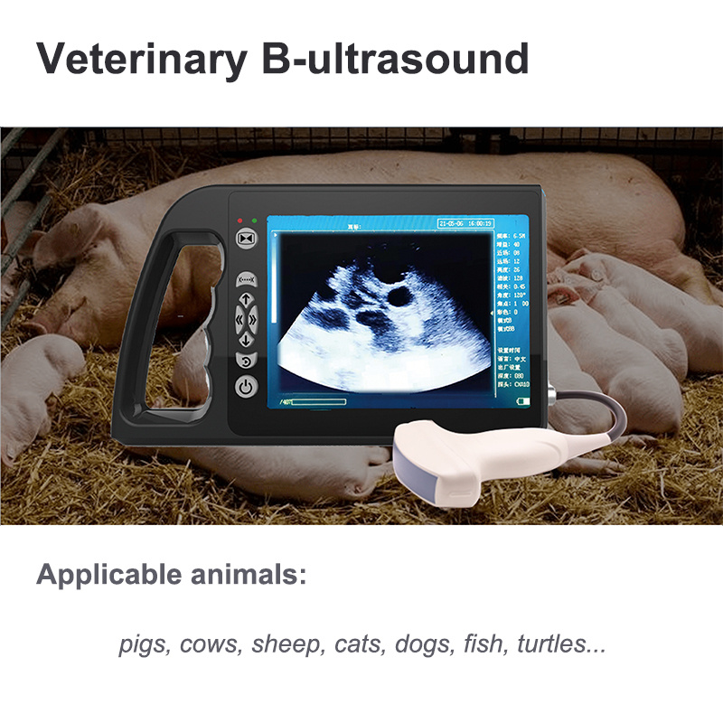 ECI-3000A+ Veterinary Ultrasound Scanner-detail 6