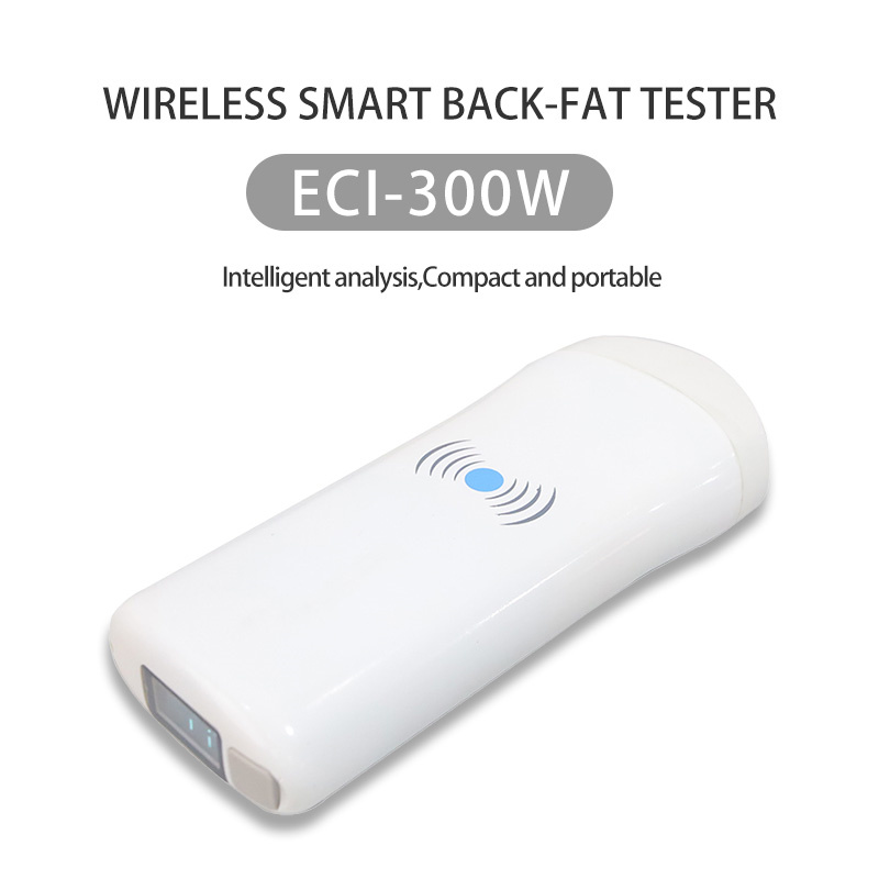 ECI-300W Wireless Backfat Gauge-detail 1