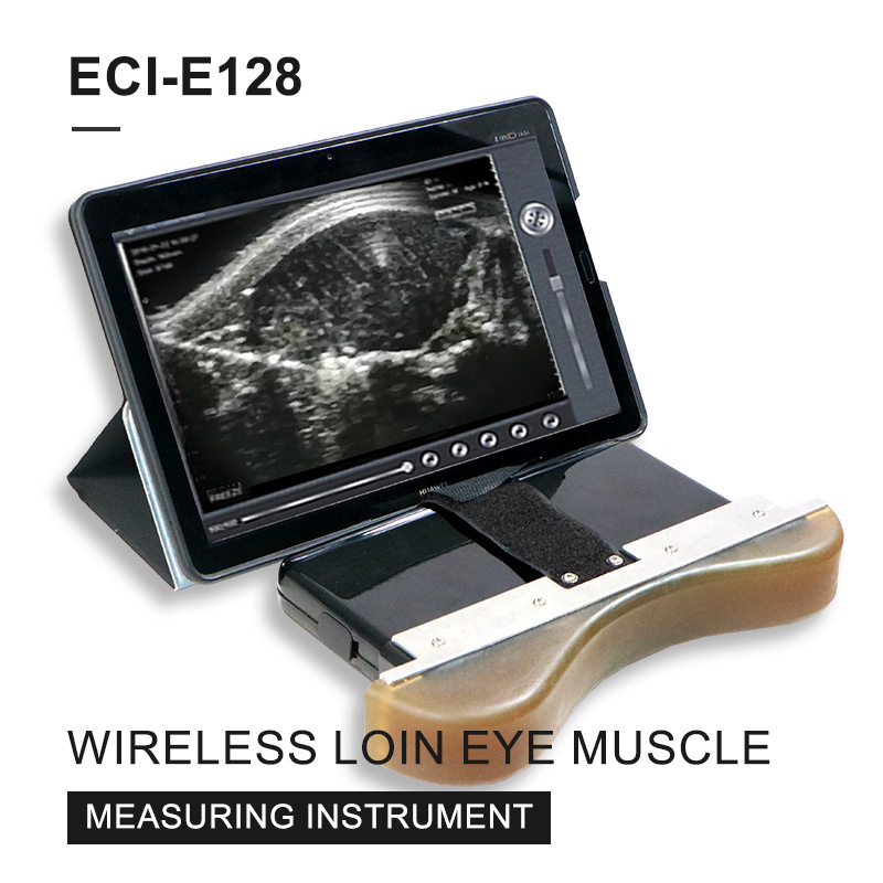 ECI-E128 Wireless Loin Eye Muscle Measuring Instrument-detail 1