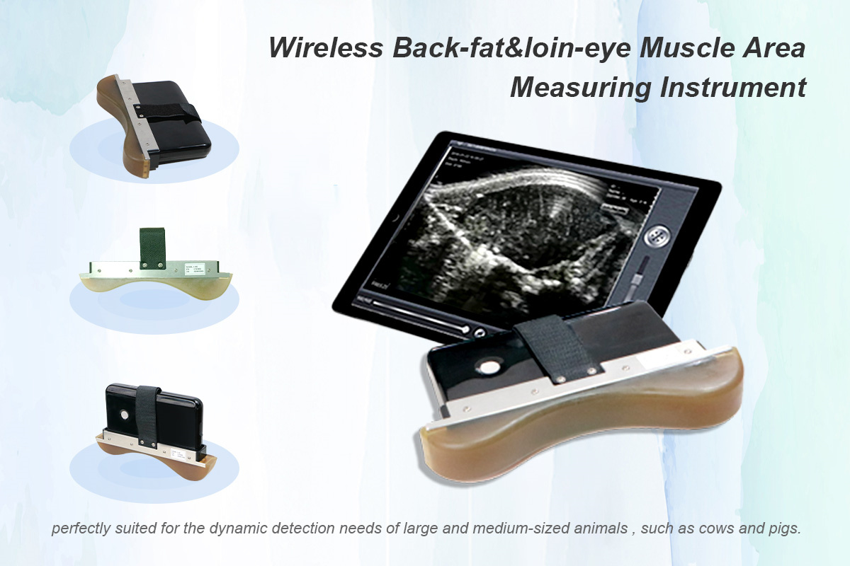 ECI-E128 Wireless Loin Eye Muscle Measuring Instrument-detail 3