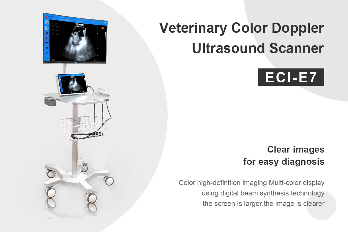 ECI-E7 Portable Veterinary Ultrasound Scanner-detail 1