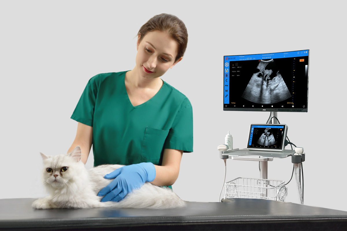 ECI-E7 Portable Veterinary Ultrasound Scanner-detail 3