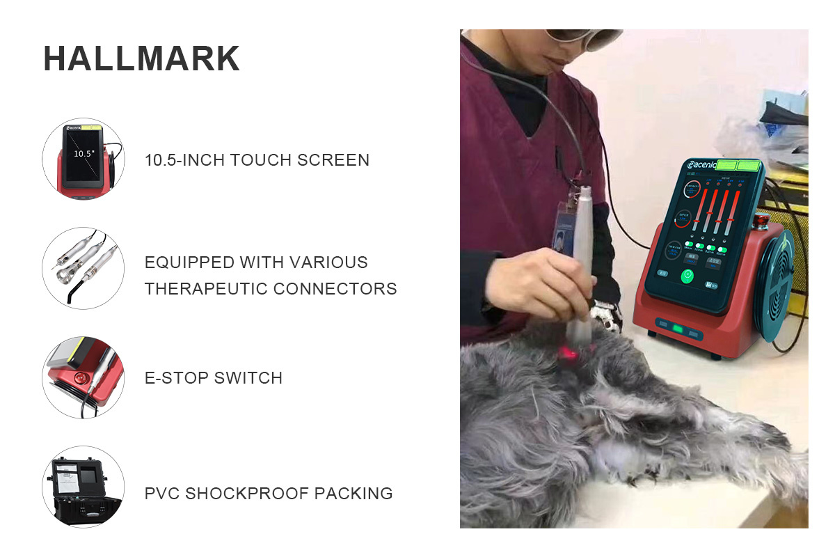 ECI-L430&230 Veterinary Laser Therapeutic Apparatus-detail-3