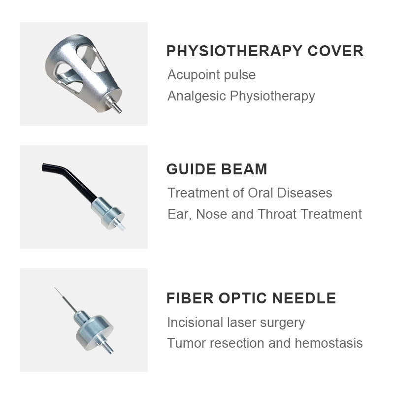 ECI-L430&230 Veterinary Laser Therapeutic Apparatus-detail-4