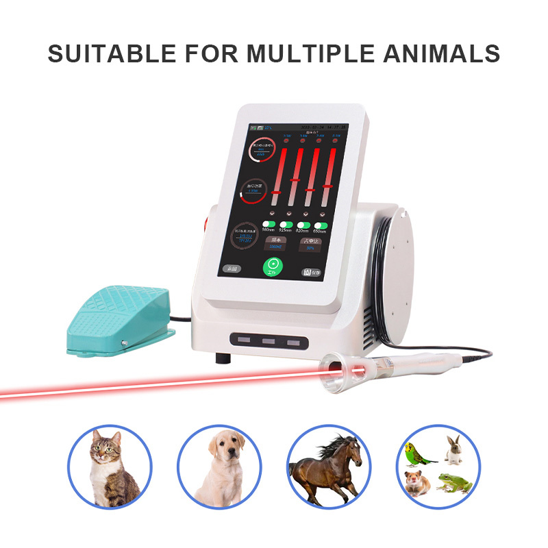 ECI-L430&230 Veterinary Laser Therapeutic Apparatus-detail-8 animal