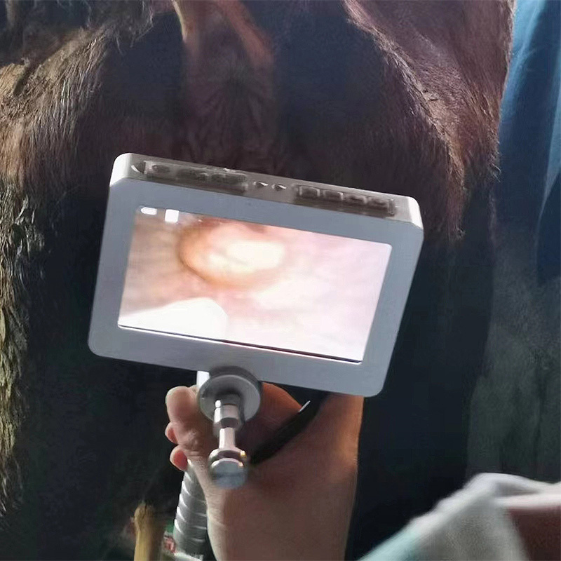 ECI-PX100&200-Veterinary Insemination Gun-detail 7