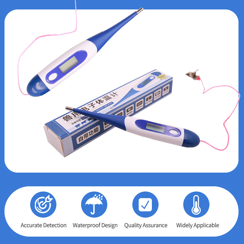 ECI-T1 Electronic Thermometer-detail 3