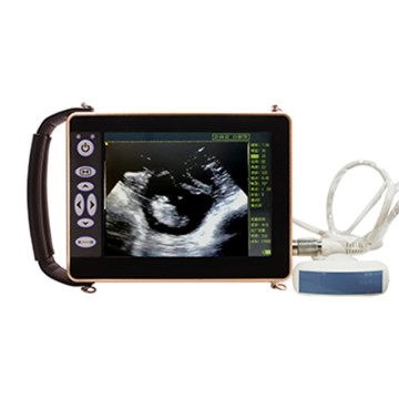 ECI-X4 Waterproof Ultrasound Scanner with Multiple Probes for Animals Use