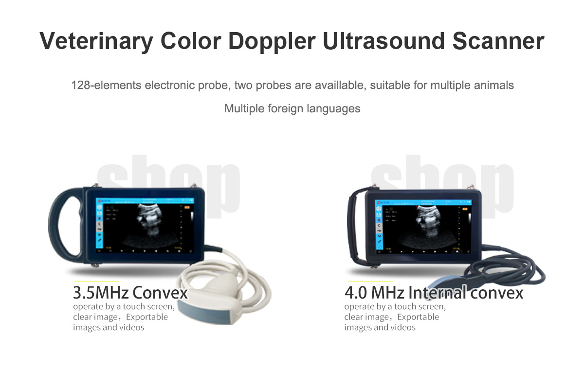 ECI-X5 Veterinary Color Doppler Ultrasound Scanner-detail 1 probe