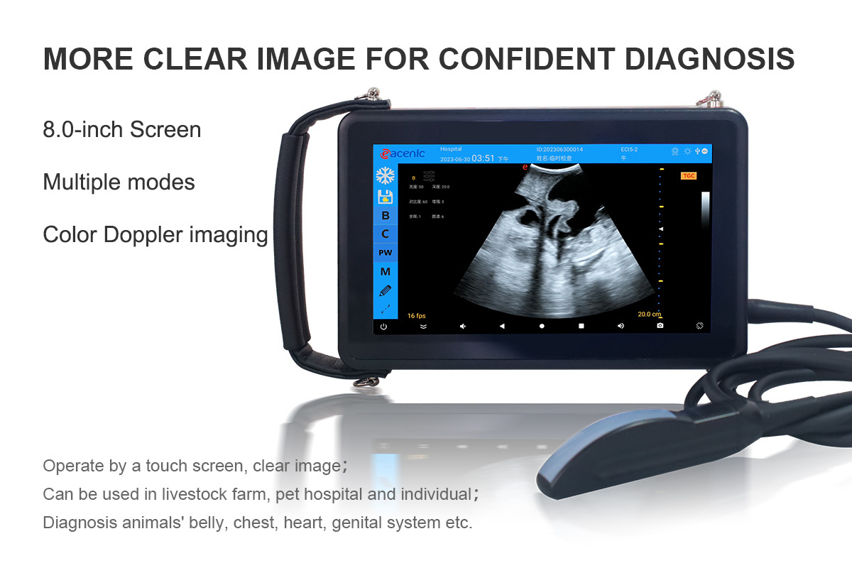 ECI-X5 Veterinary Color Doppler Ultrasound Scanner-detail 2