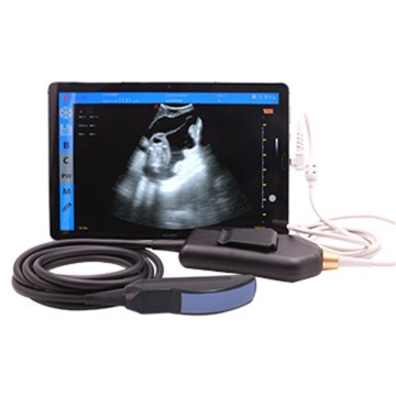 ECI-X6 سيريز هٿ ۾ وائرڊ ويٽرنري ڪلر ڊاپلر الٽراسائونڊ پروب