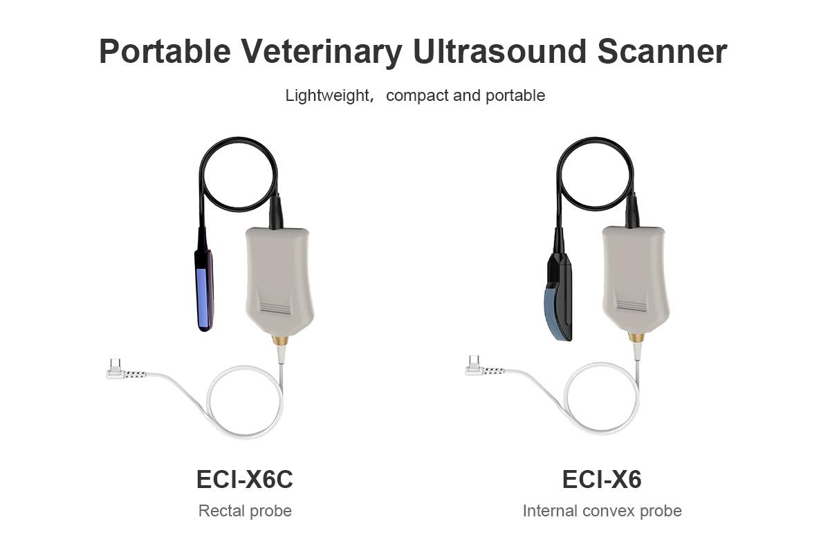 ECI-X6 Portable Veterinary Ultrasound Scanner-detail 1
