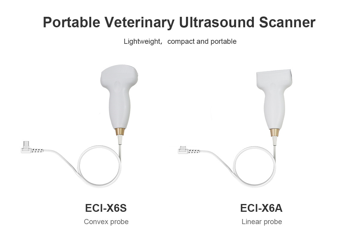ECI-X6 Portable Veterinary Ultrasound Scanner-detail 2