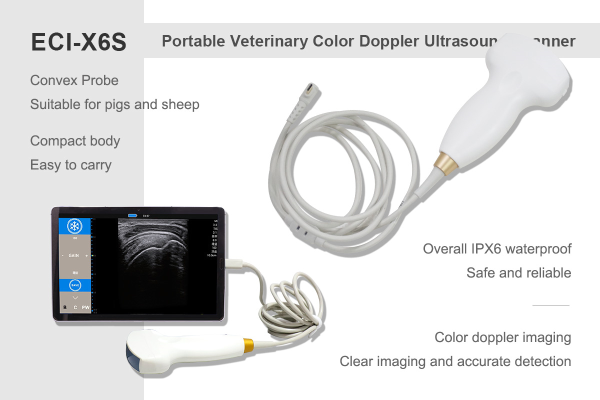 ECI-X6 Portable Veterinary Ultrasound Scanner-detail 3 X6S