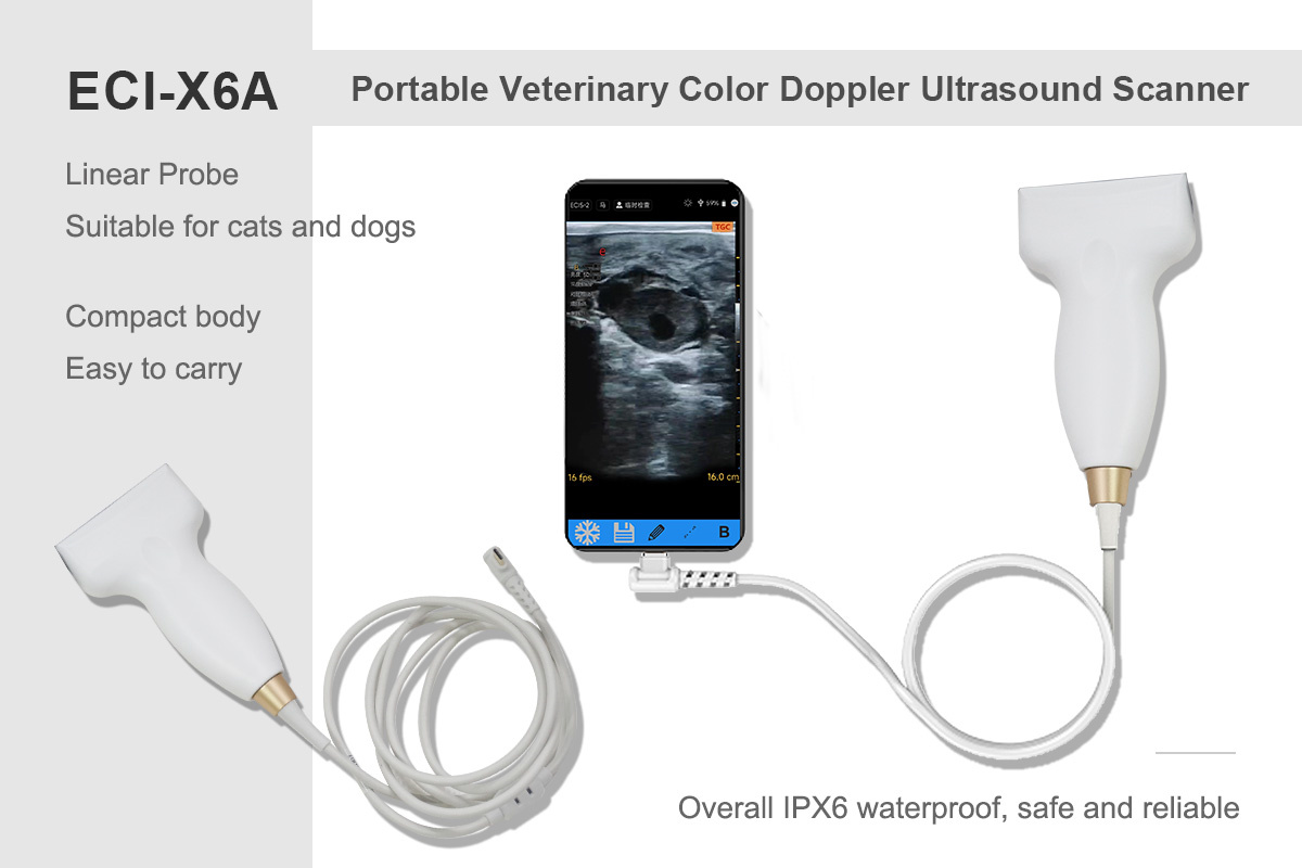ECI-X6 Portable Veterinary Ultrasound Scanner-detail 4 X6A