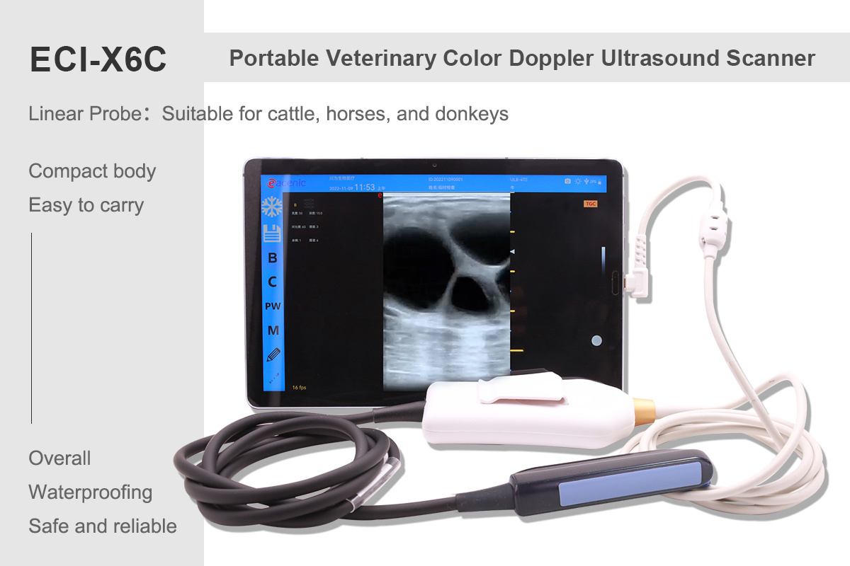 ECI-X6 Portable Veterinary Ultrasound Scanner-detail 5 X6C