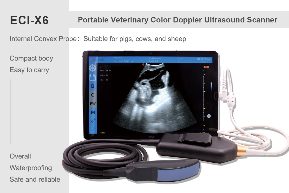 ECI-X6 Portable Veterinary Ultrasound Scanner-detail 6 X6