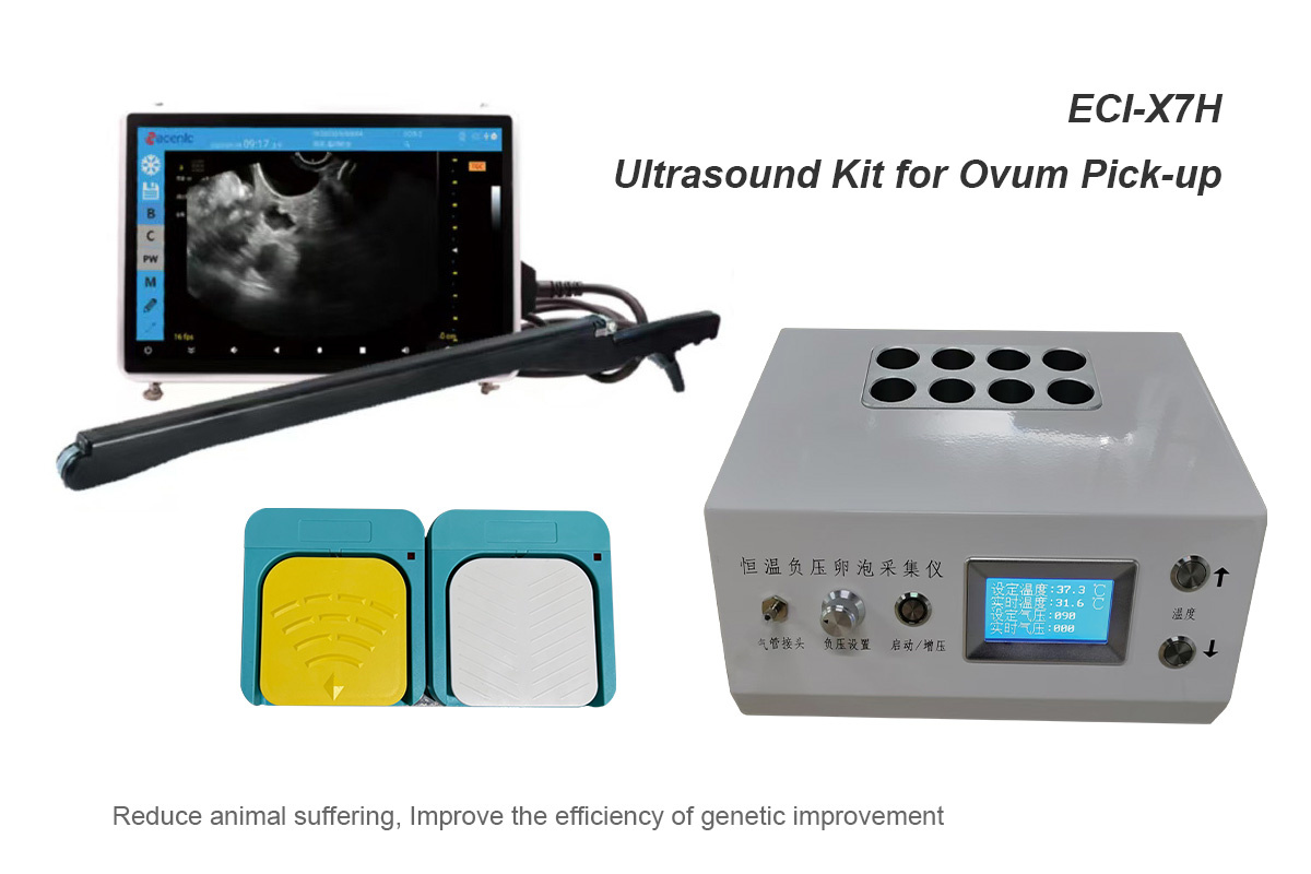 ECI-X7H Portable Veterinary Ultrasound Scanner-detail 1