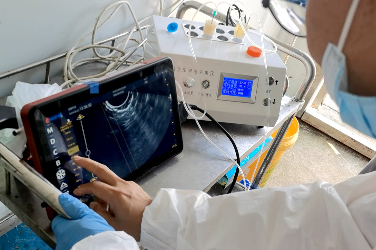 ECI-X7H Portable Veterinary Ultrasound Scanner-detail 3 application