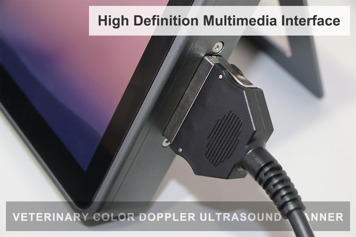 ECI-X8M Veterinary Color Doppler Ultrasound Scanner-detail 3