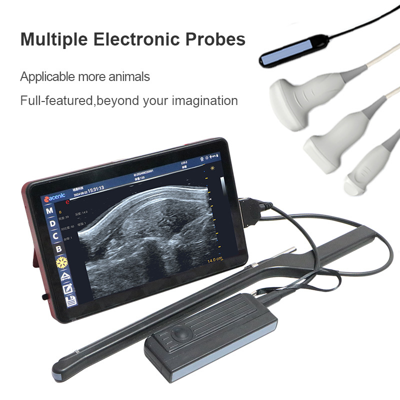 ECI-X8M Veterinary Color Doppler Ultrasound Scanner-detail 4 probe