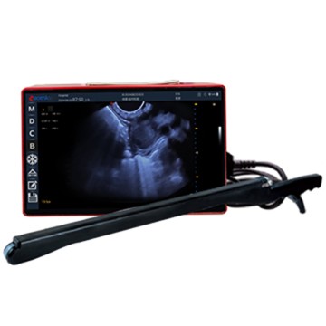 ECI-X8S 256 Elements Color Doppler Veterinary Ultrasound Machine