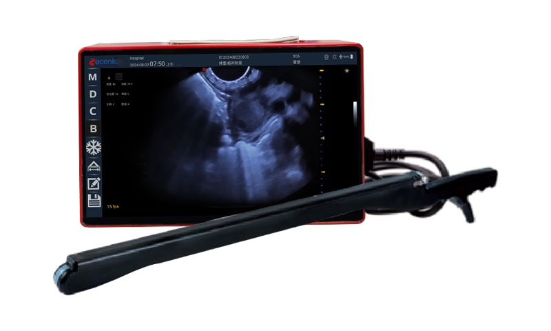 Home-Page-01-Animal-Ultrasound-Diagnosis