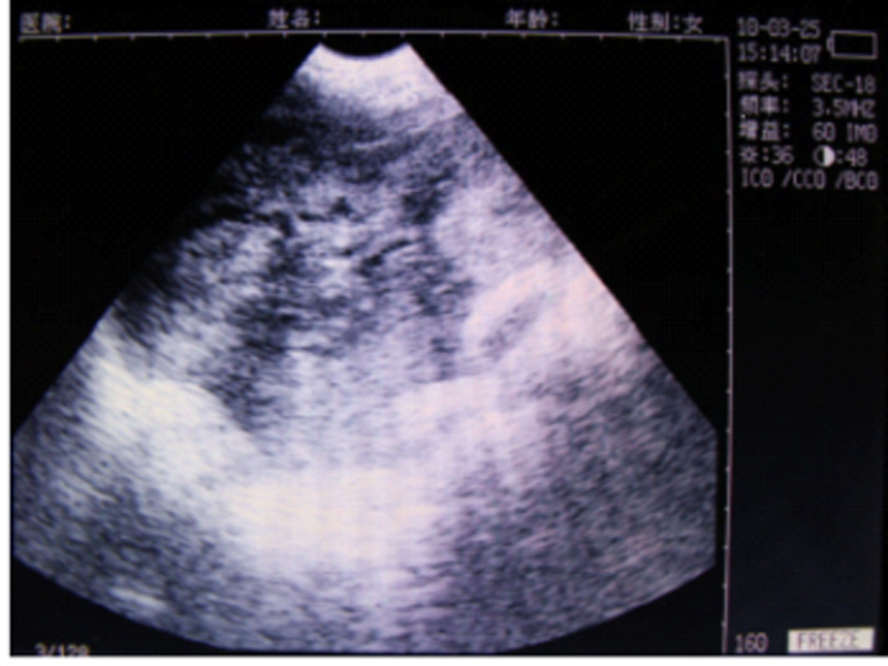 product-description03