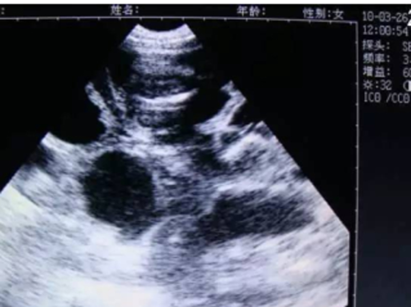 product-description04