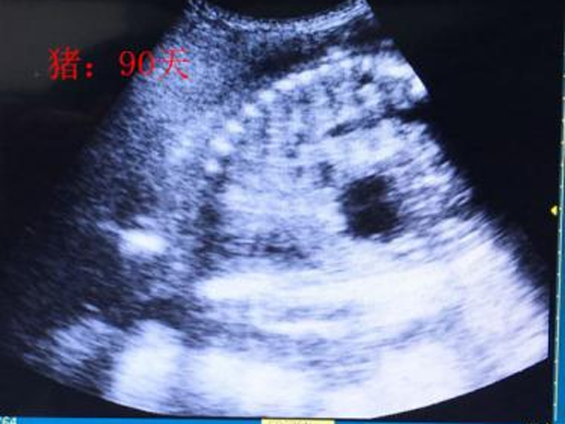 product-description05