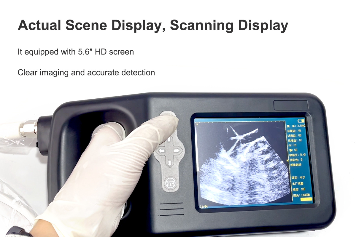 SUN-3000 Veterinary Ultrasound Scanner-detail 5
