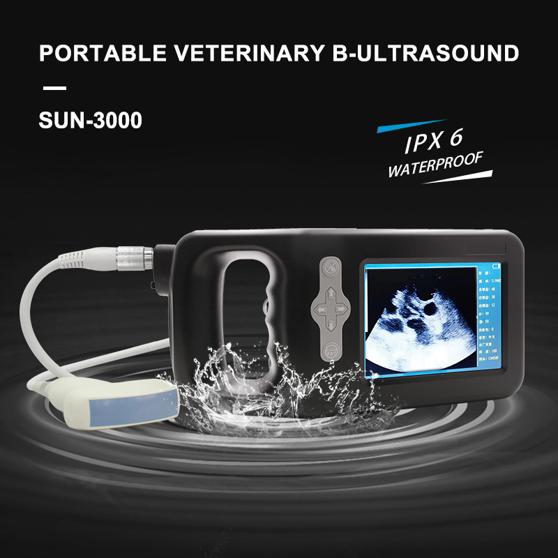 SUN-3000 Veterinary Ultrasound Scanner-detail 6