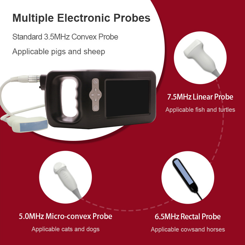 SUN-3000 Veterinary Ultrasound Scanner-detail 7 probe
