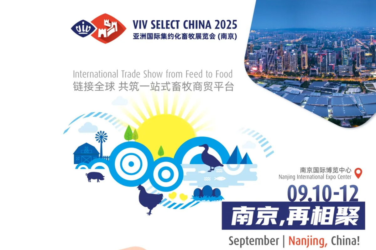 VIV SELECT AN TSÍN 2024 12