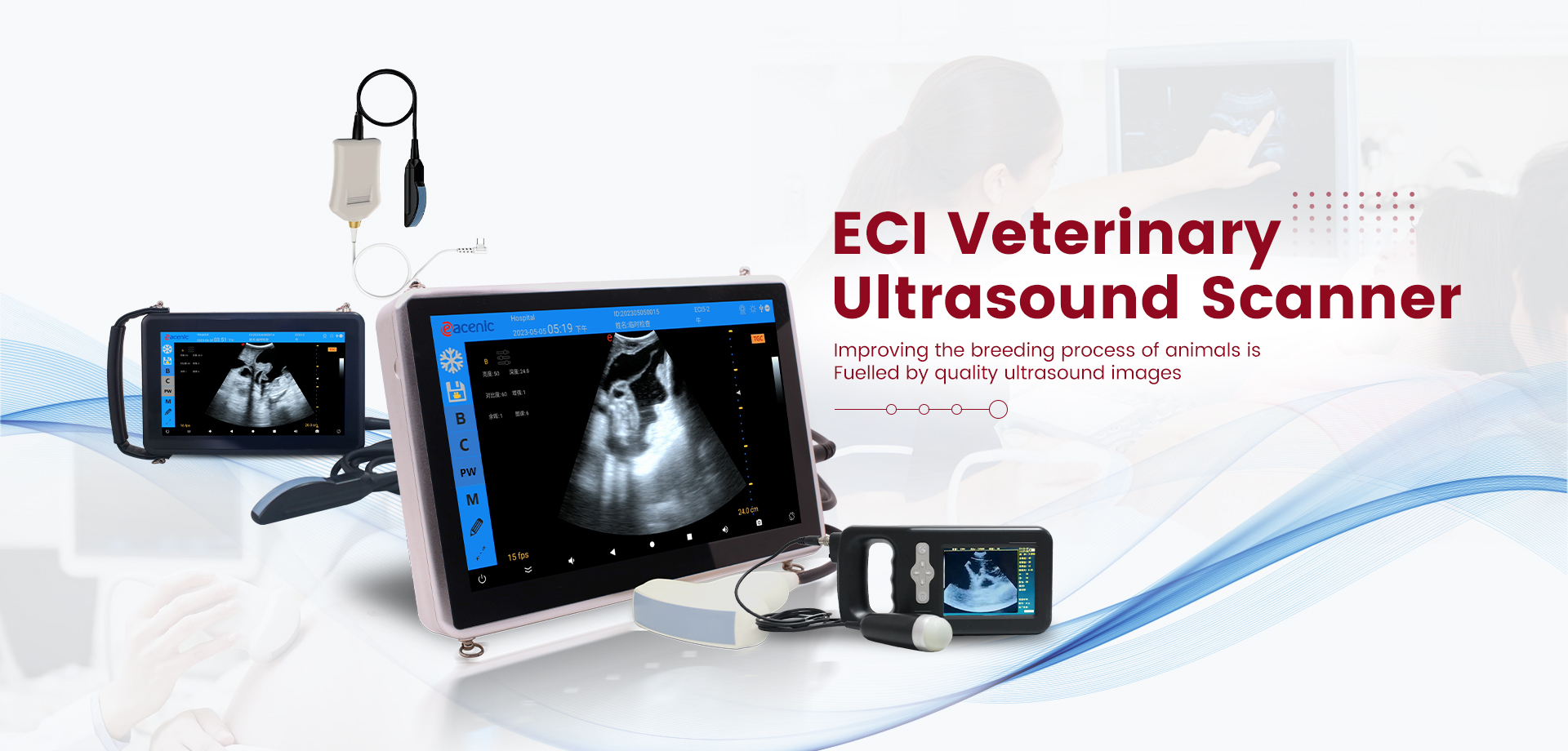 Ultrasound Diagnosis