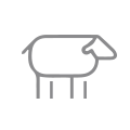 Ovine