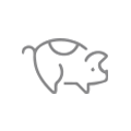 Swine