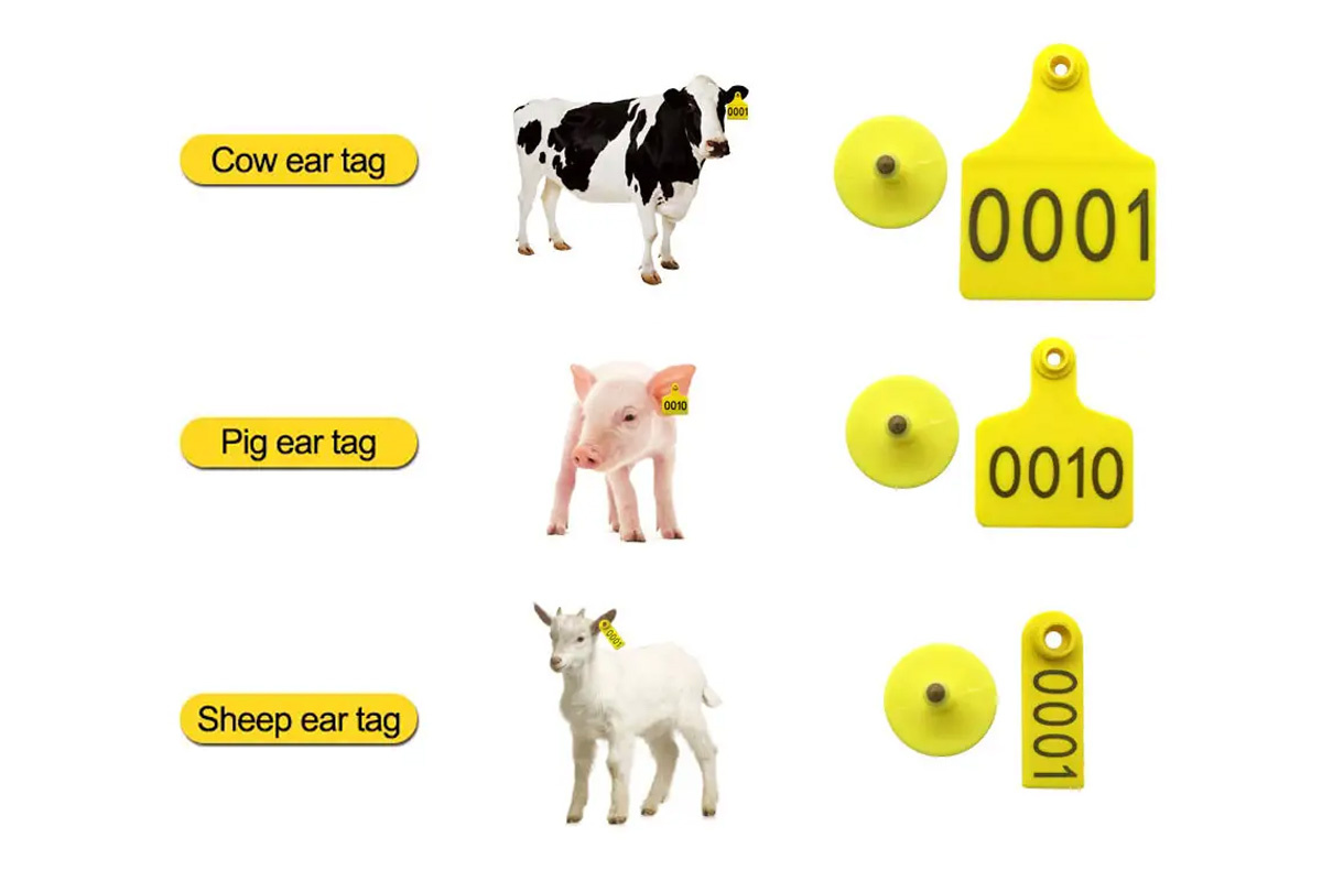 Animal Ear Tag-detail 3