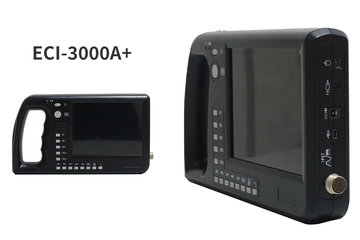 ECI-3000A Eye Muscle Area Ultrasound Measuring Instrument-detail 3