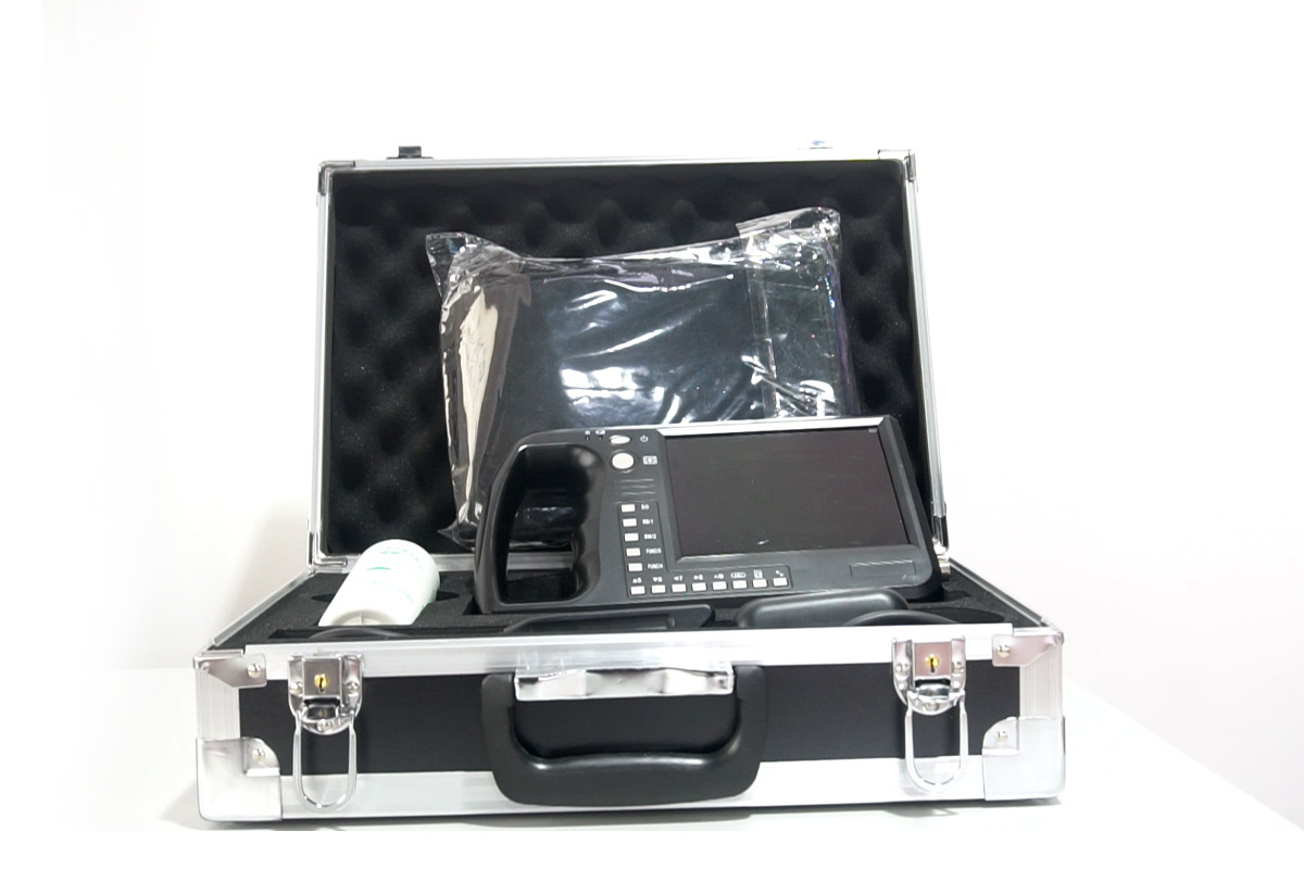 ECI-3000A Eye Muscle Area Ultrasound Measuring Instrument-detail 6 package