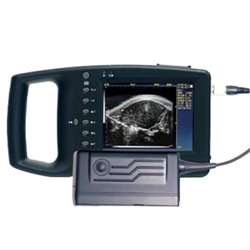 Umatshini we-ECI-3000D Ultrasound wovavanyo lwemisipha ye-loin-eye