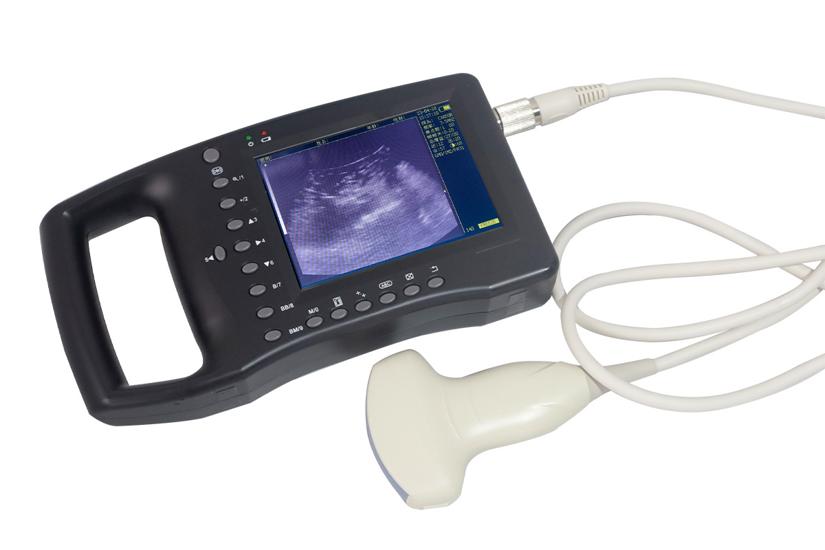 ECI-3000D Ultrasound Machine for Loin-eye Muscle Testing-detail 1