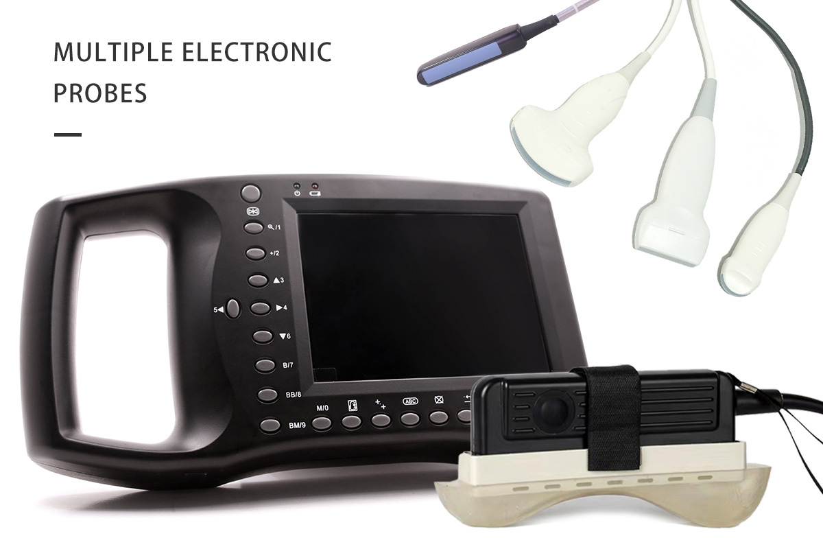 ECI-3000D Ultrasound Machine for Loin-eye Muscle Testing-detail 2