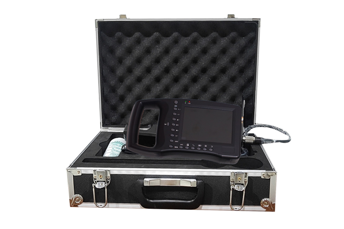 ECI-3000D Ultrasound Machine for Loin-eye Muscle Testing-detail 4