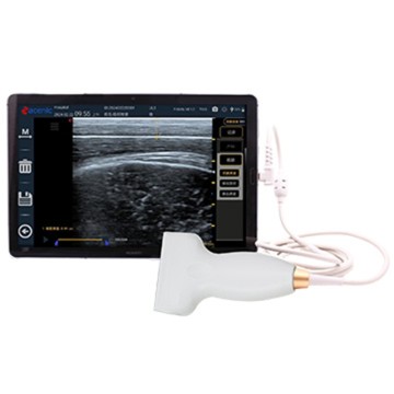 I-ECI-300S Veterinaey Ultrasound yokulinganisa amafutha emqolo